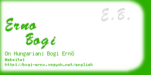 erno bogi business card