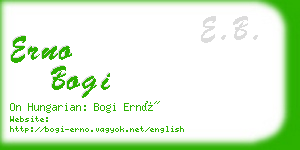 erno bogi business card